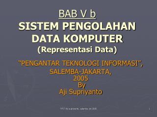 BAB V b SISTEM PENGOLAHAN DATA KOMPUTER (Representasi Data)
