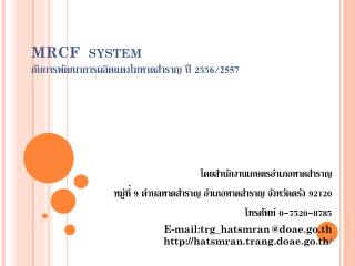 MRCF system กับการพัฒนาการผลิตแตงโมหาดสำราญ ปี 255 6 / 2557