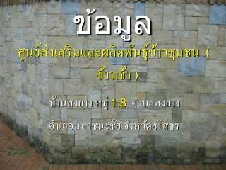ข้อมูล