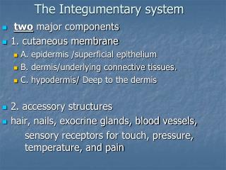 The Integumentary system