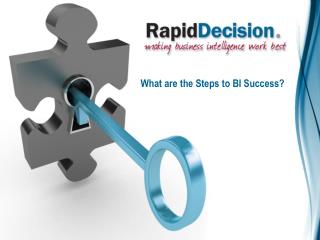 What are the Steps to BI Success?