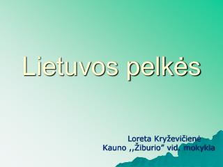 Lietuvos pelkės