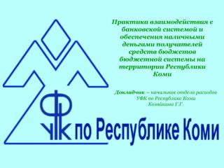 Докладчик – начальник отдела расходов УФК по Республике Коми Козяйкина Г.Г.