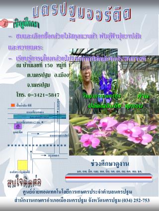 ถน นกรมการสัตว์