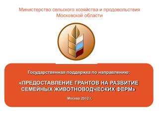 Государственная поддержка по направлению: «ПРЕДОСТАВЛЕНИЕ ГРАНТОВ НА РАЗВИТИЕ