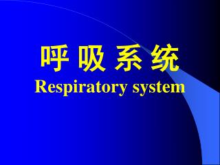 呼 吸 系 统 Respiratory system