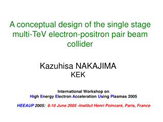 A conceptual design of the single stage multi-TeV electron-positron pair beam collider