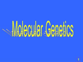 Molecular Genetics