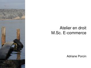 Atelier en droit M.Sc. E-commerce Adriane Porcin