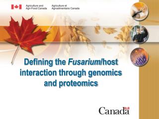 Defining the Fusarium /host interaction through genomics and proteomics