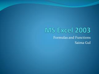 MS Excel 2003