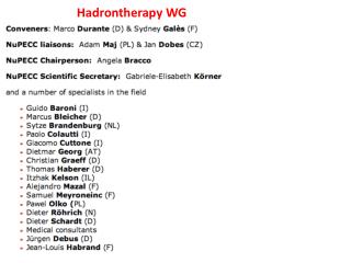 Hadrontherapy WG