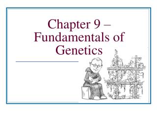 Chapter 9 – Fundamentals of Genetics