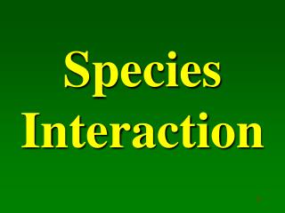 Species Interaction