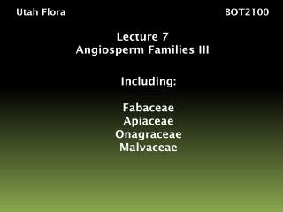 Utah Flora BOT2100