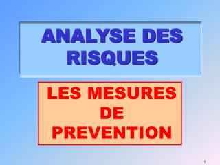 ANALYSE DES RISQUES