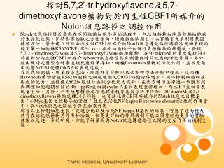 探討 5,7,2’-trihydroxyflavone 及 5,7-dimethoxyflavone 藥物對於內生性 CBF1 所媒介的 Notch 訊息路徑之調控作用