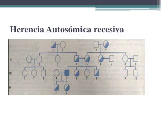 Herencia Autosómica recesiva