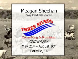 Meagan Sheehan Dairy Feed Sales Intern