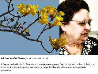 Adriana Josefa F Chaves ( 10/04/1934 – 27/02/2010 )