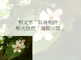 和文字「以身相許」 和大自然「海誓山盟」