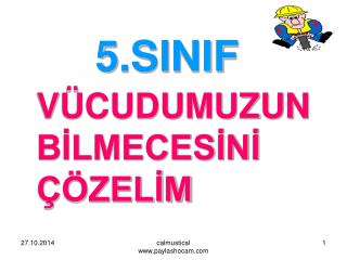 VÜCUDUMUZUN BİLMECESİNİ ÇÖZELİM