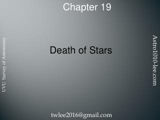 Chapter 19