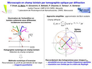 Microscopie en champ lointain par tomographie optique par diffraction