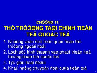 CHÖÔNG 11: THÒ TRÖÔØNG TAØI CHÍNH TIEÀN TEÄ QUOÁC TEÁ