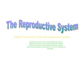 Explain the structure of the male reproductive system .