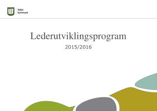 Lederutviklingsprogram