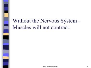 Without the Nervous System – Muscles will not contract.