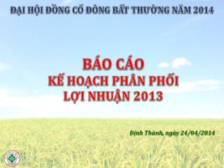 BÁO CÁO KẾ HOẠCH PHÂN PHỐI LỢI NHUẬN 2013