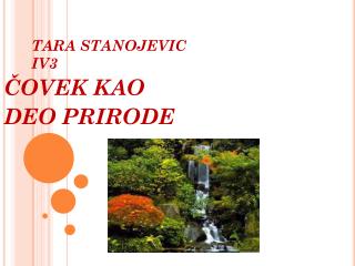 TARA STANOJEVIC IV3