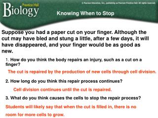 1. How do you think the body repairs an injury, such as a cut on a finger?