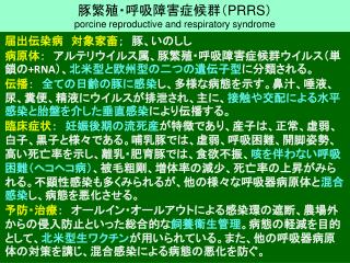 豚繁殖・呼吸障害症候群（ PRRS ） porcine reproductive and respiratory syndrome