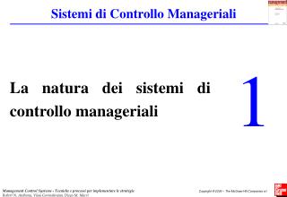 La natura dei sistemi di controllo manageriali