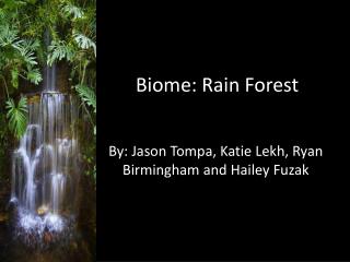 Biome: Rain Forest