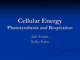 Cellular Energy Photosynthesis and Respiration
