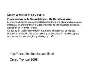 Sesión 20 martes 14 de Octubre: Fundamentos de la Neurobiología I. Dr. Osvaldo Alvarez.