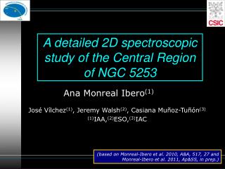 A detailed 2D spectroscopic study of the Central Region of NGC 5253