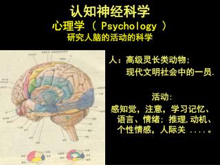 认知神经科学 心理学 ( Psychology ) 研究人脑的活动的科学