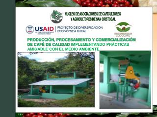 NUCLEO DE ASOCIACIONES DE CAFICULTORES Y AGRICULTORES DE SAN CRISTOBAL