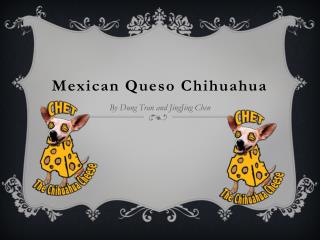Mexican Queso Chihuahua