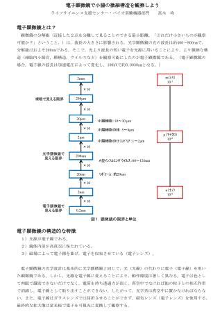 電子顕微鏡で小腸の微細構造を観察しよう ライフサイエンス支援センター・バイオ実験機器部門　　高木　均 電子顕微鏡とは？