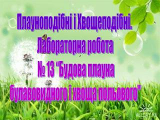 Плауноподібні і Хвощеподібні. Лабораторна робота № 13 “Будова плауна