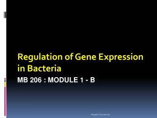 MB 206 : Module 1 - B