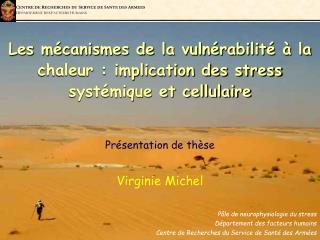 Les mécanismes de la vulnérabilité à la chaleur : implication des stress systémique et cellulaire