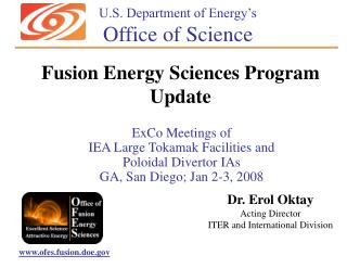 ExCo Meetings of IEA Large Tokamak Facilities and Poloidal Divertor IAs