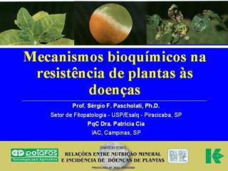 Doenças de Plantas